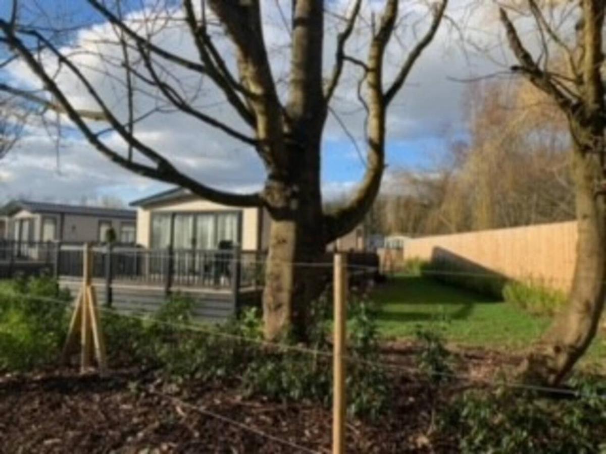 Captivating Bluebell Lodge 2-Bed Cotswolds Caravan Cirencester Εξωτερικό φωτογραφία